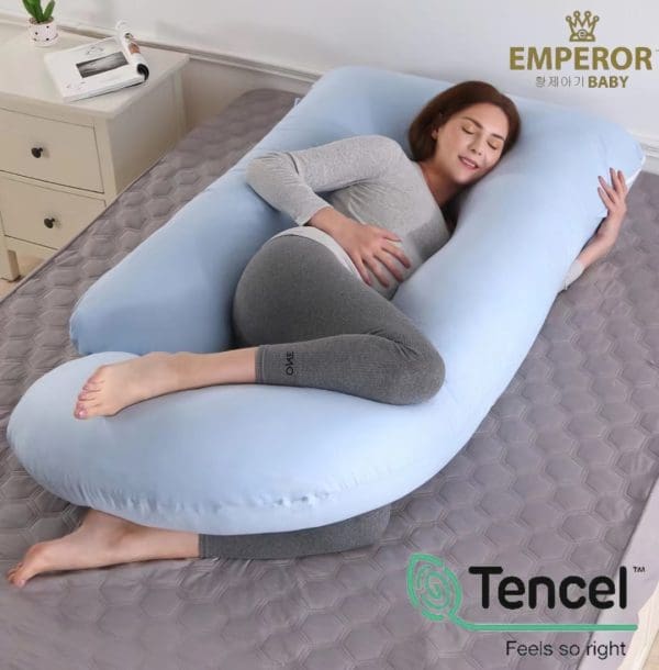 Pregnancy and Nursing Pillow 2 in 1