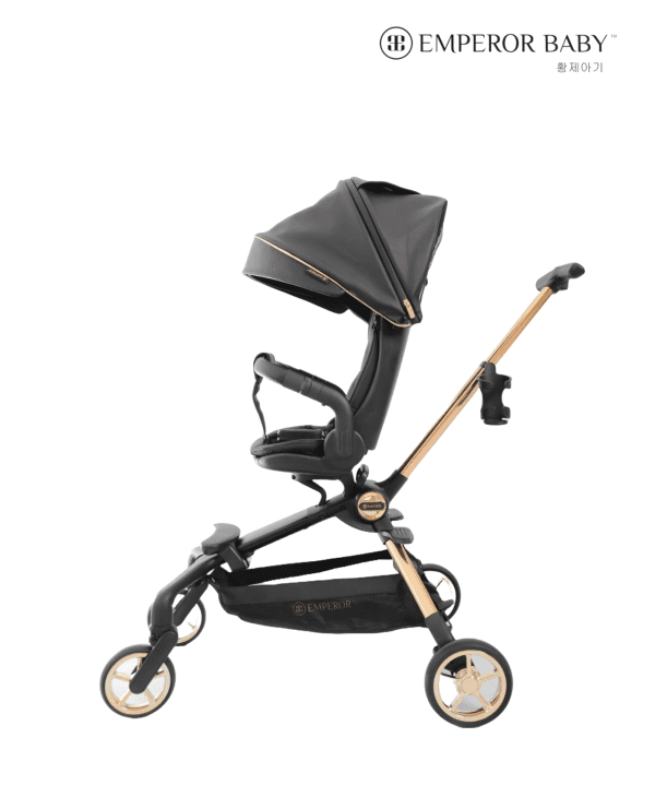 Emperor I ProX 2 Ways Stroller - Image 3